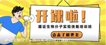 DG视讯官网平台生物分子实验技能培训班开课啦！