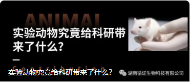 实验动物究竟给科研带来了什么？